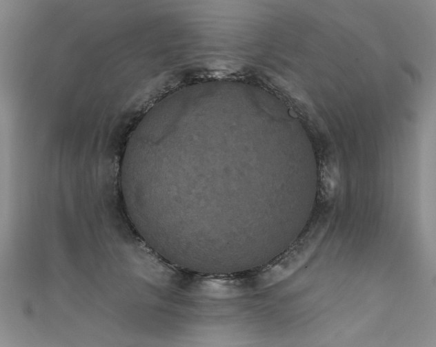X0000111520657200907141509