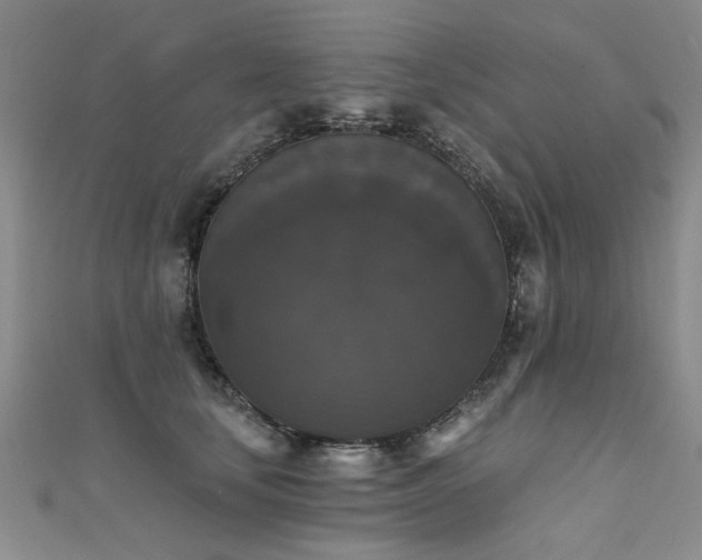 X0000111520659200907141509