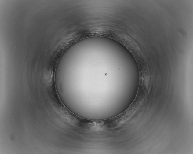 X0000111520660200907141509