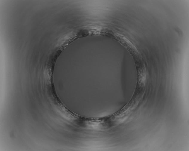 X0000111520661200907141509