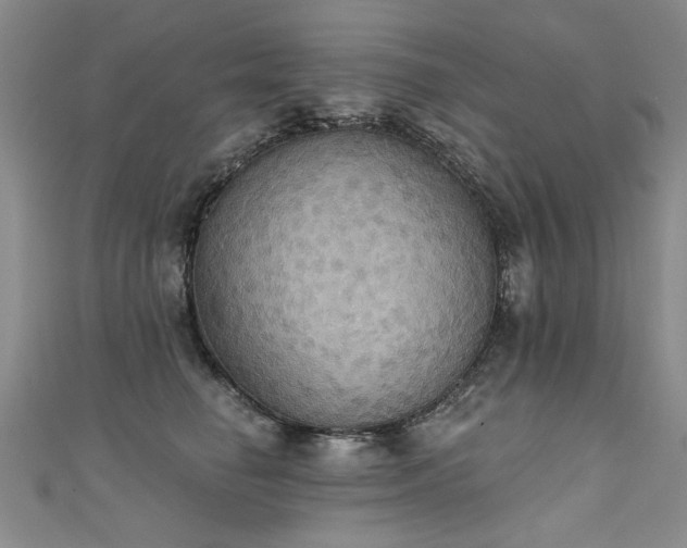 X0000111520662200907141509