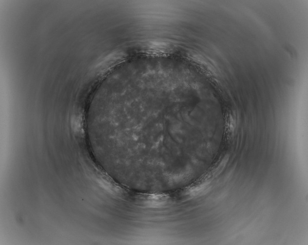 X0000111520663200907141509