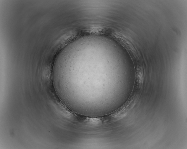 X0000111520665200907141509