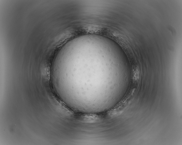 X0000111520666200907141509