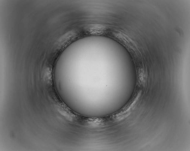 X0000111520667200907141509