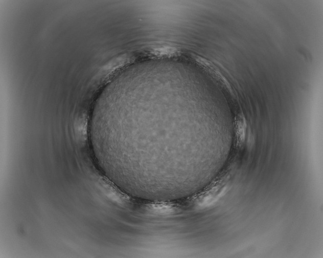 X0000111520668200907141509