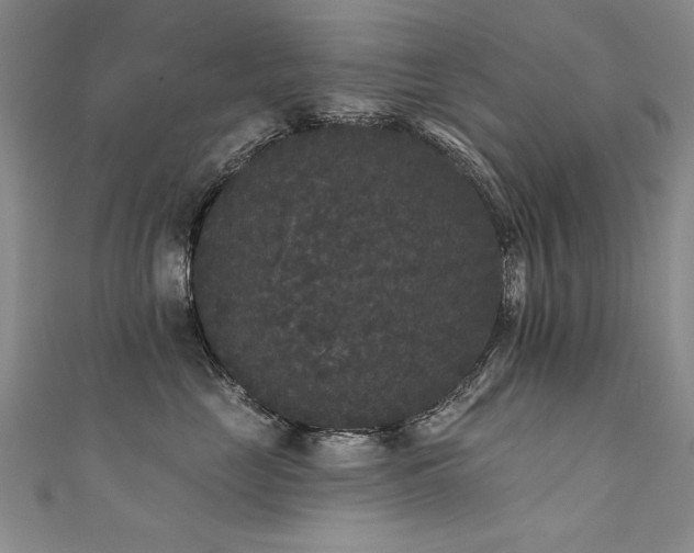 X0000111520669200907141509