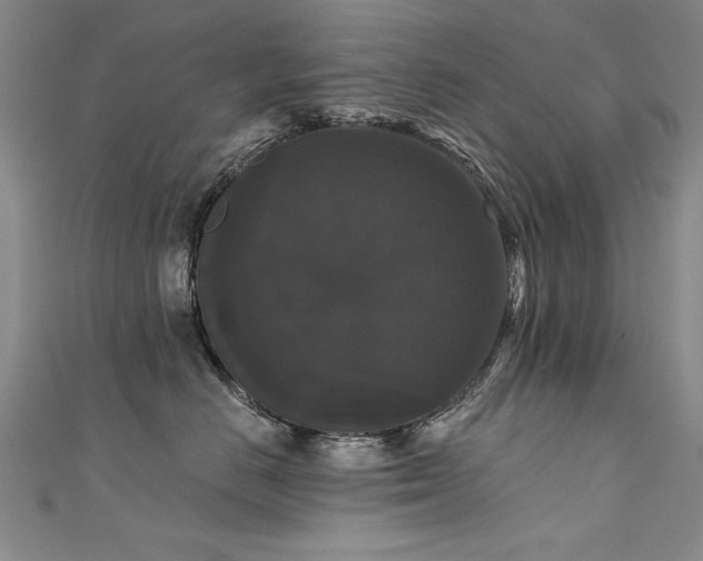 X0000111520670200907141509