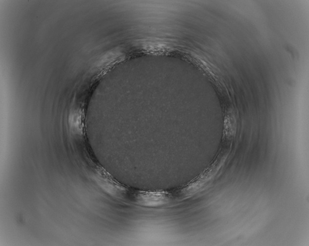 X0000111520671200907141509