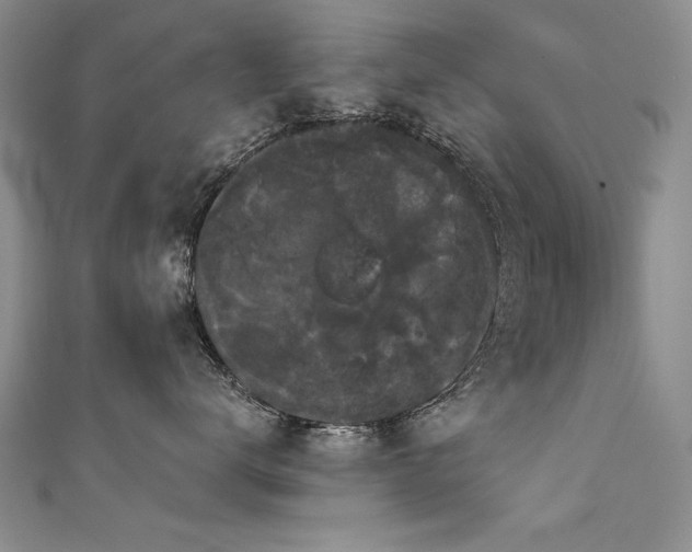 X0000111520672200907141509