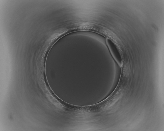 X0000111520673200907141508