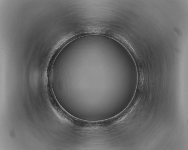 X0000111520674200907141508