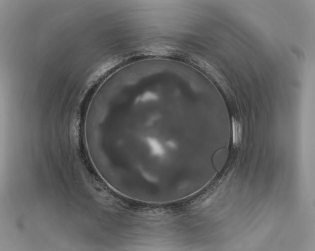 X0000111520675200907141508