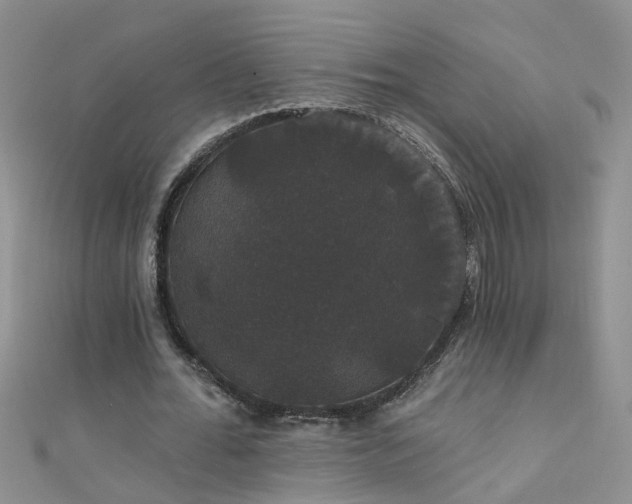 X0000111520676200907141508