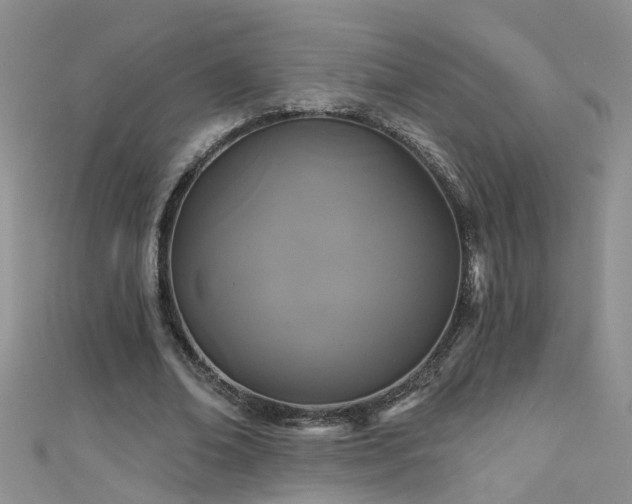 X0000111520678200907141508