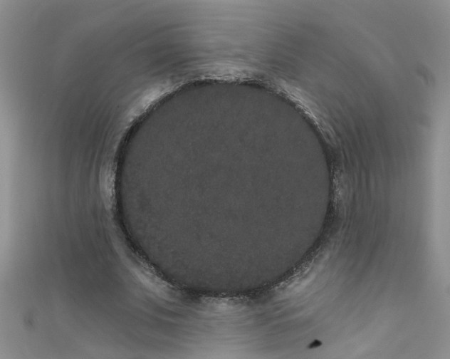 X0000111520679200907141508
