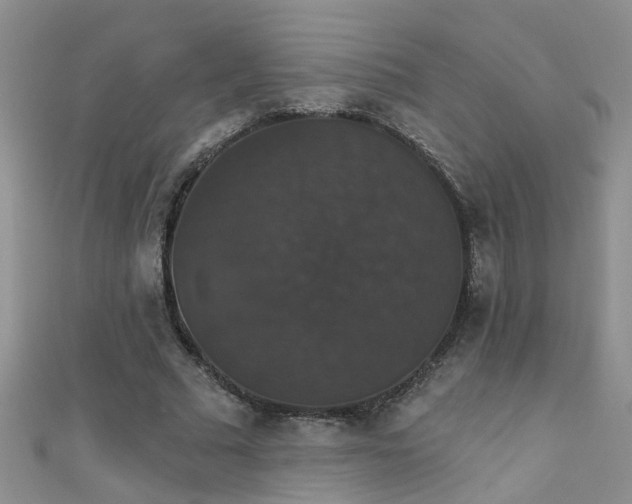 X0000111520681200907141508