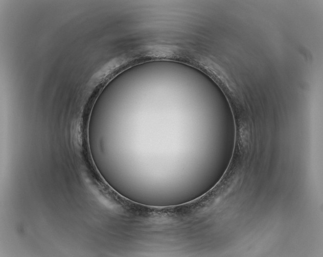 X0000111520682200907141508