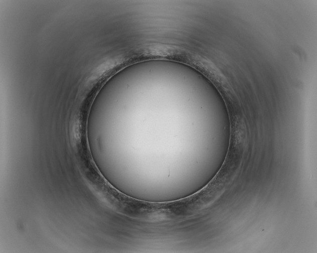 X0000111520683200907141508