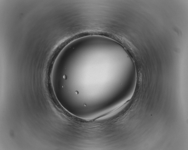 X0000111520684200907141508