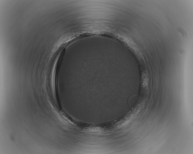X0000111520685200907141508