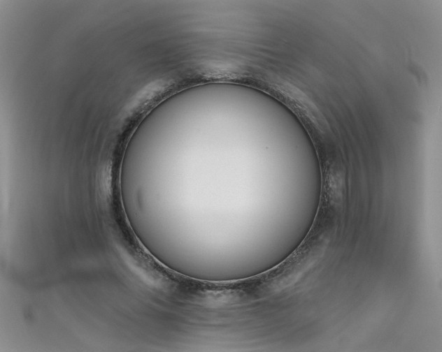 X0000111520686200907141508