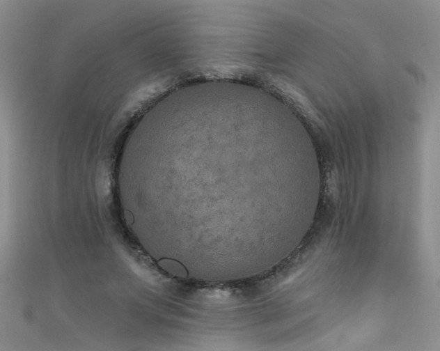 X0000111520687200907141508