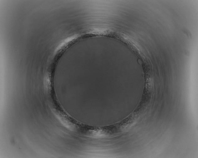 X0000111520688200907141508