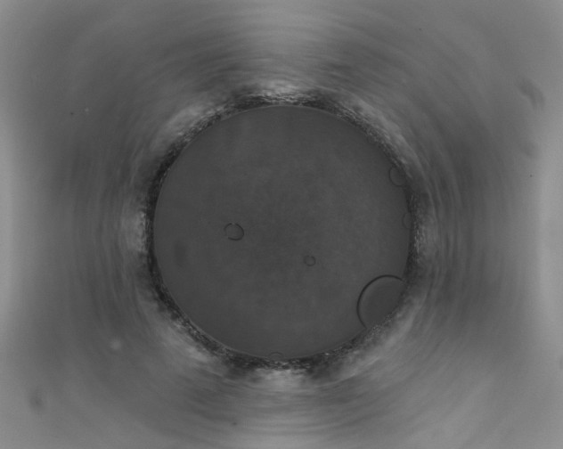 X0000111520689200907141508