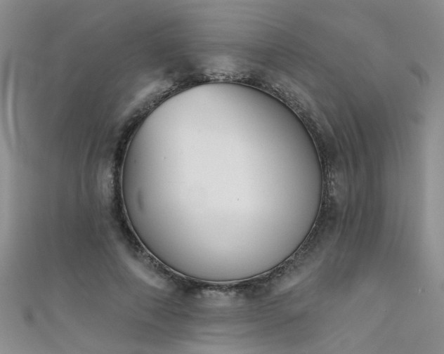 X0000111520690200907141508