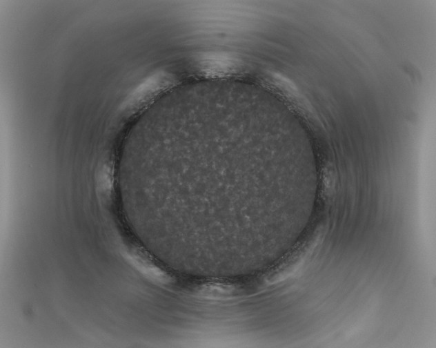 X0000111520691200907141508