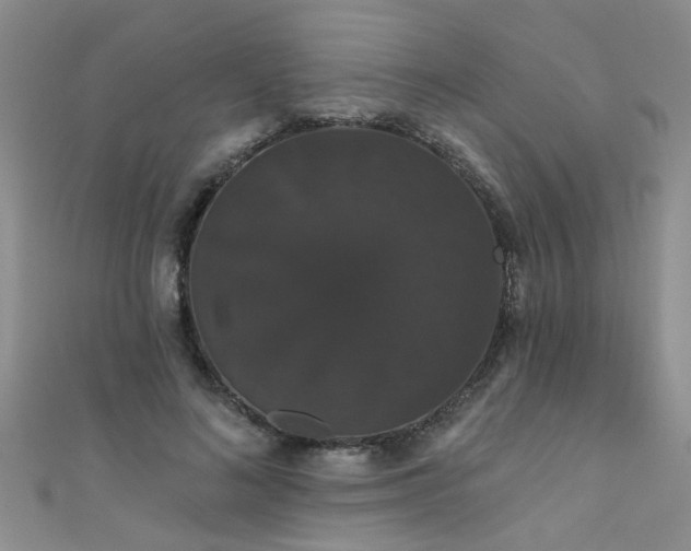 X0000111520692200907141508