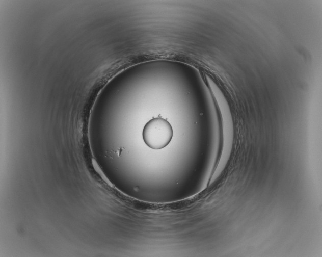 X0000111520693200907141508