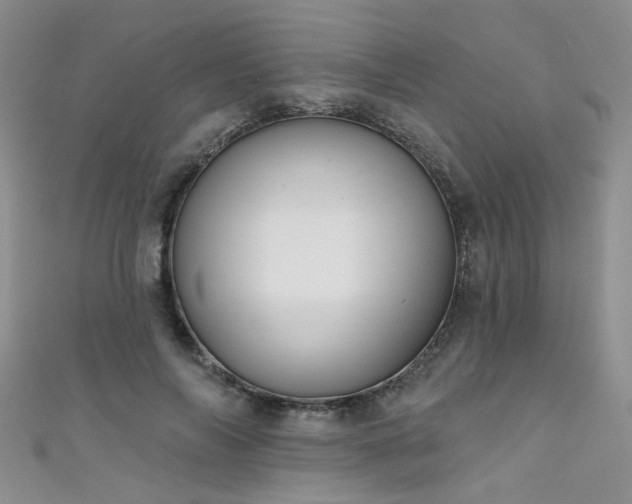 X0000111520694200907141508