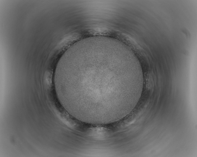 X0000111520695200907141508