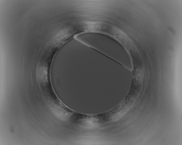 X0000111520696200907141508