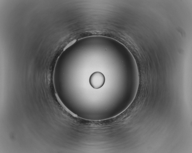 X0000111520697200907141508
