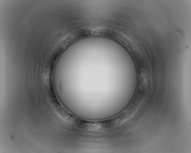 X0000111520698200907141508