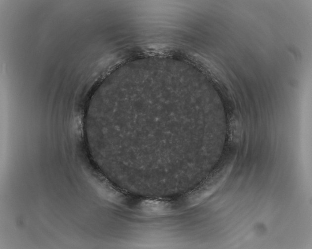 X0000111520699200907141508