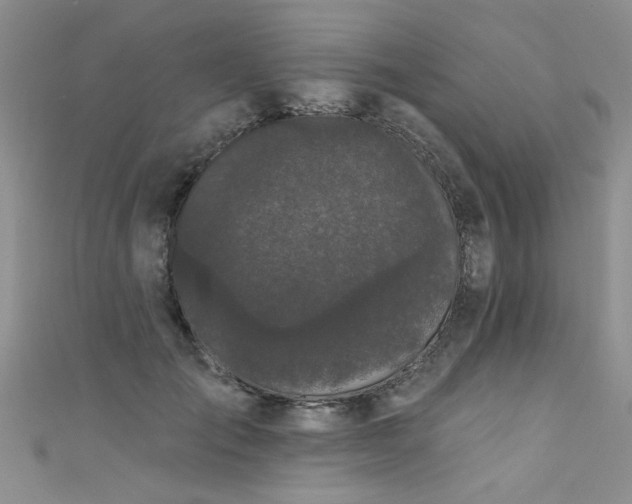 X0000111520701200907141508