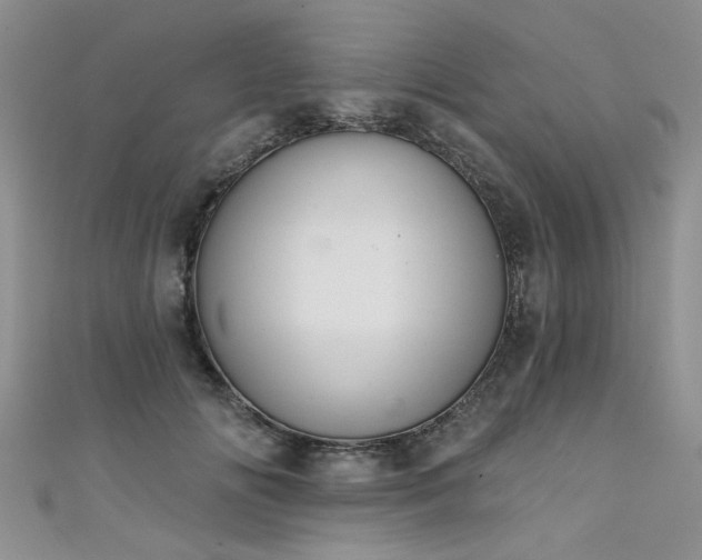 X0000111520702200907141508