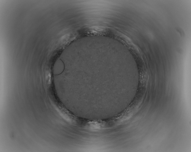 X0000111520703200907141508
