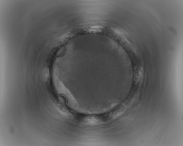 X0000111520704200907141508