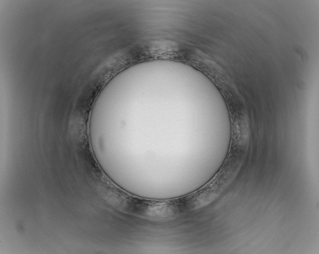 X0000111520705200907141508