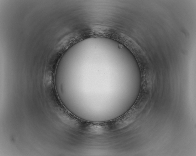 X0000111520706200907141508