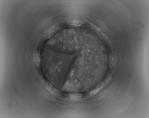 X0000111520707200907141508
