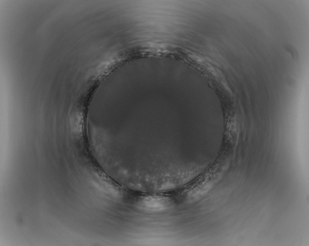 X0000111520708200907141508