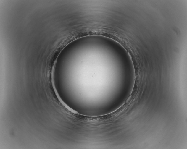 X0000111520709200907141508