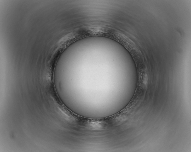 X0000111520710200907141508