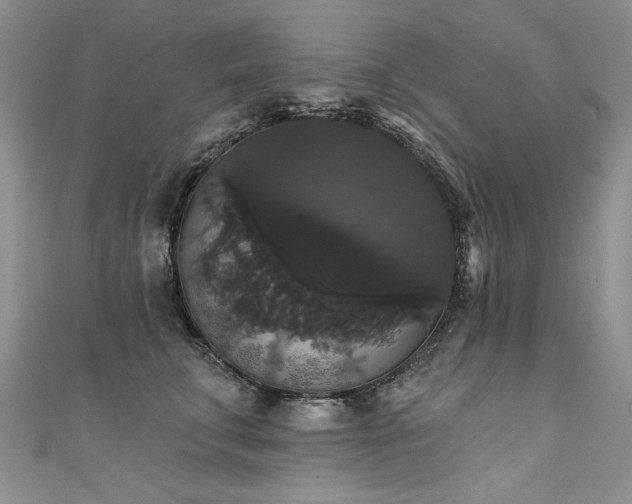 X0000111520711200907141508